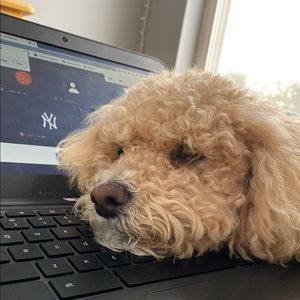 Meet your Posher, Robert